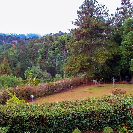 Chale Com Lareira E Wi-Fi Em Campos Do Jordao - Sp Villa Exteriör bild